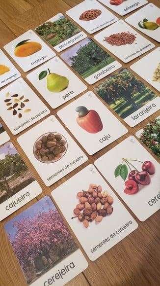 Kit 24 Flashcards Montessori Árvores Frutíferas Brasileiras