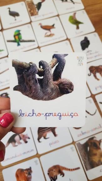 Kit 24 Flashcards Montessori Animais Mata Atlântica F/v