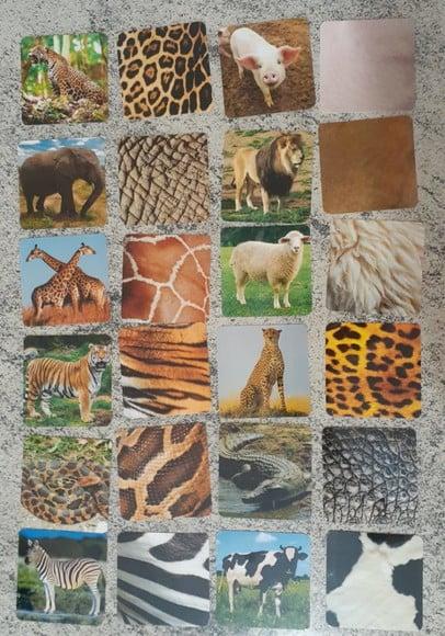 Kit 24 flashcards pelagem dos Animais atividades montessori