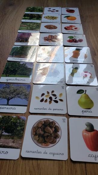 Kit 24 Flashcards Montessori Árvores Frutíferas Brasileiras