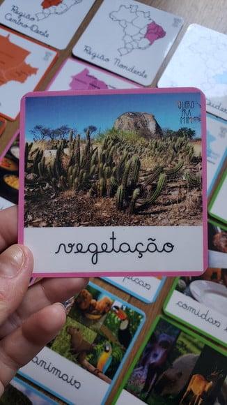 Kit 30 Flashcards Regiões do Brasil e Caracts - Montessori