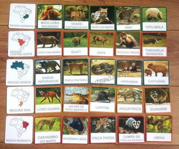 Kit 30 Flashcards Animais Por Região do Brasil Montessori