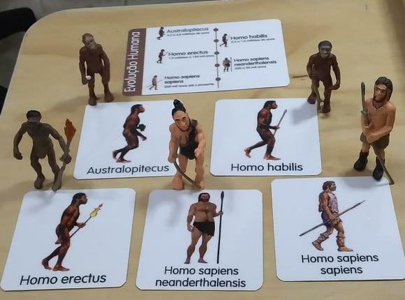 Kit 6 flashcards Evolução do Homem - Hominídeos