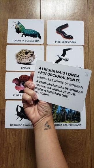 Kit 8 Flashcards Animais Recordistas da Natureza Montessori