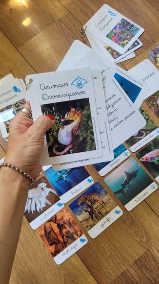 Kit Flashcards com Controle de Erro - Reprodução dos Animais