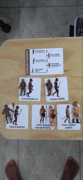 Kit Flashcards Evolução do Homem Montessori/homeschool