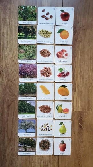 PDF 24 Flashcards Árvores Frutíferas (arquivo Digital)