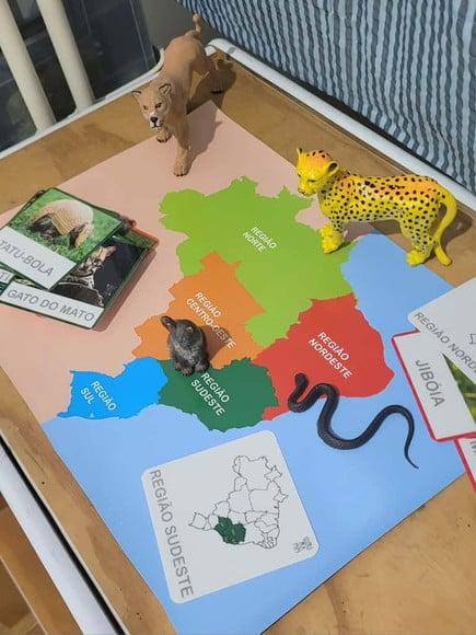 Mapa das Regiões do Brasil em Lona Inspiração Montessori