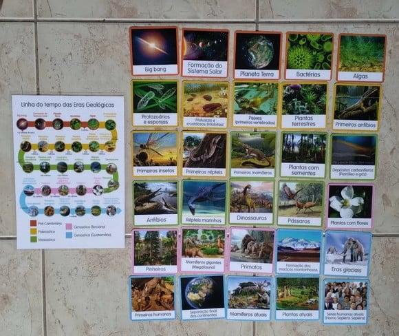PDF Flashcards Linha do Tempo Vida Terra (arquivo Digital)