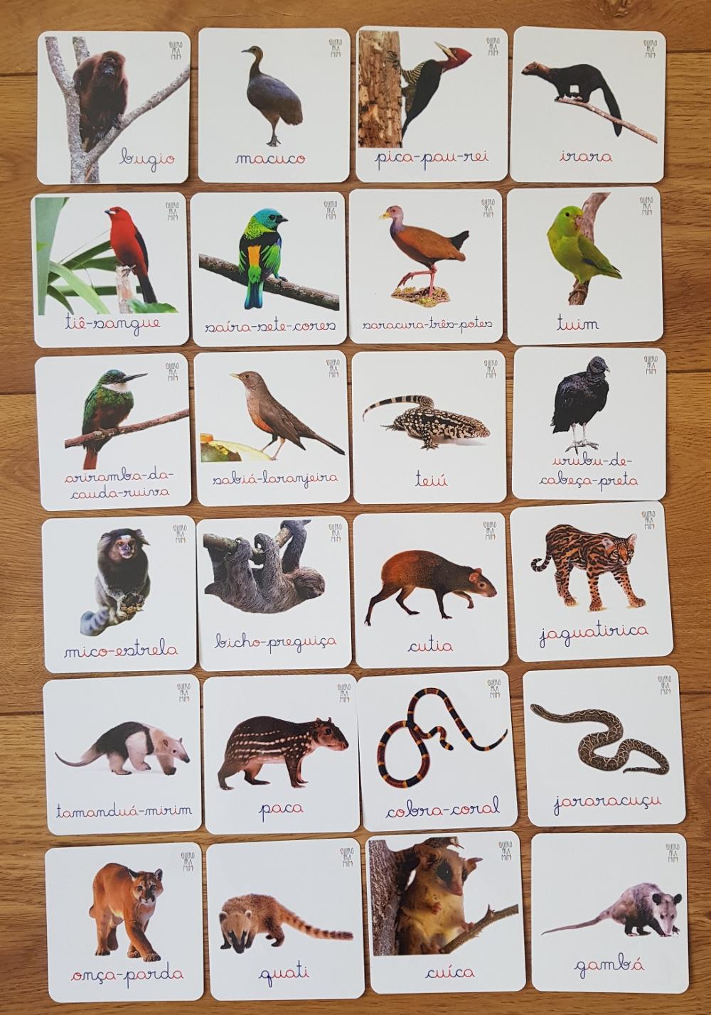 PDF 24 Flashcards Montessori Animais Mata Atlântica F/v - Arquiv