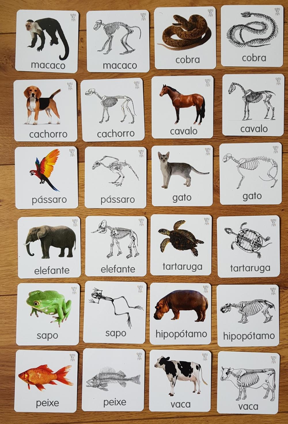 PDF 24 flashcards Animais e esqueletos pareamento montessori - Ar