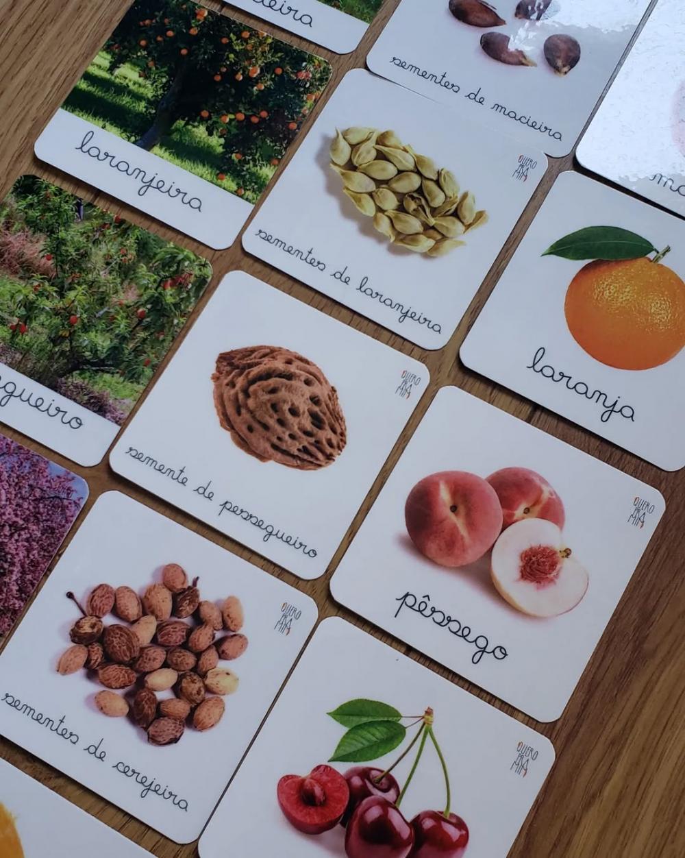 PDF 24 Flashcards Árvores Frutíferas (arquivo Digital)