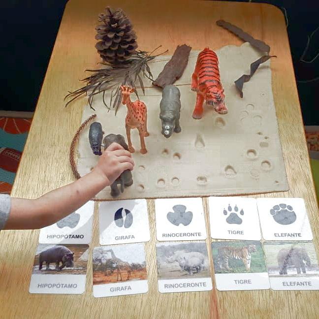 Kit 24 Flashcards Pegadas de Animais Pareamento Montessori