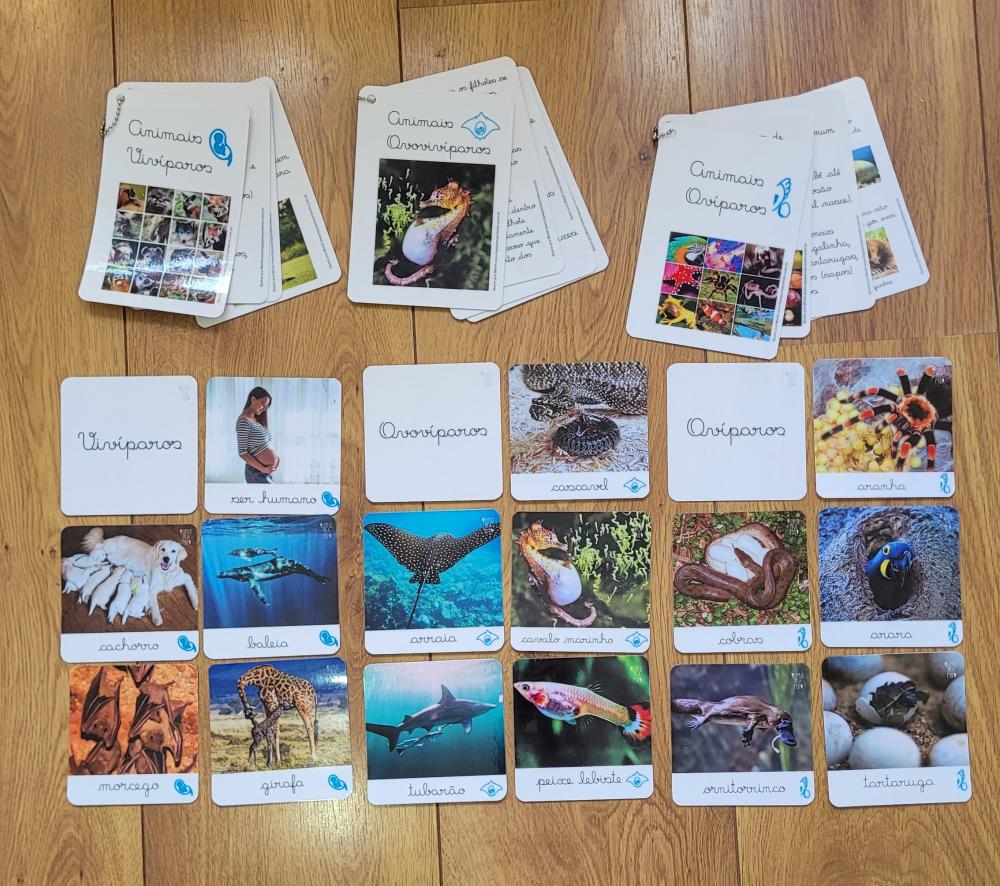 PDF Flashcards Reprodução dos Animais com caderno de informaç?
