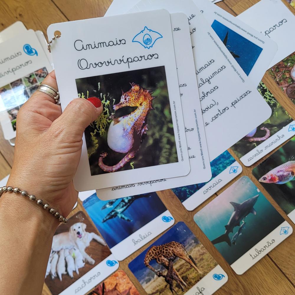PDF Flashcards Reprodução dos Animais com caderno de informaç?