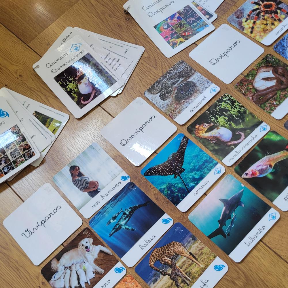 PDF Flashcards Reprodução dos Animais com caderno de informaç?