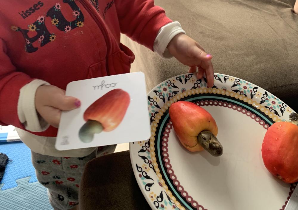 Kit 18 Flashcards Frutas