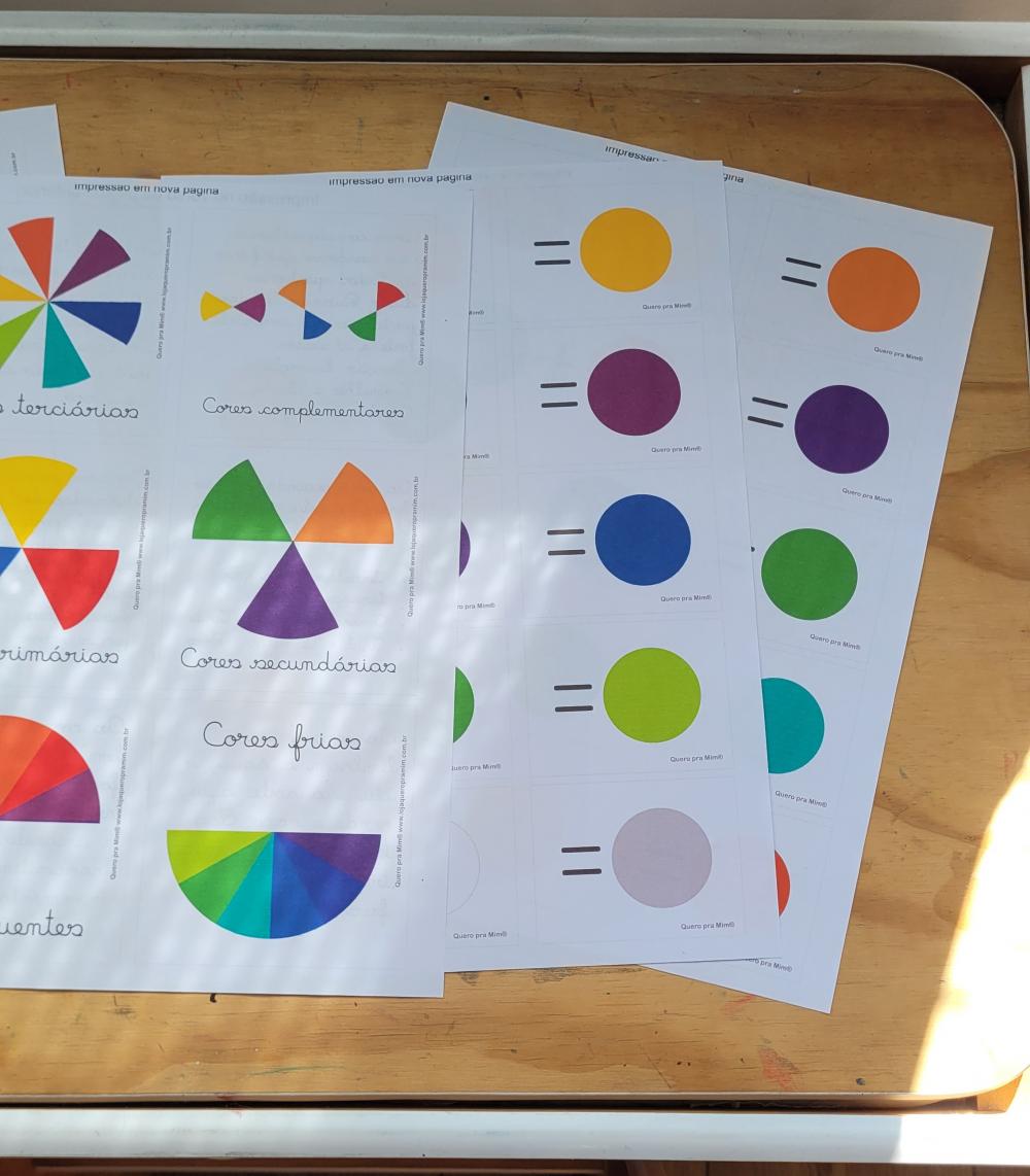Kit Flashcards Teoria e Disco das Cores para Crianças