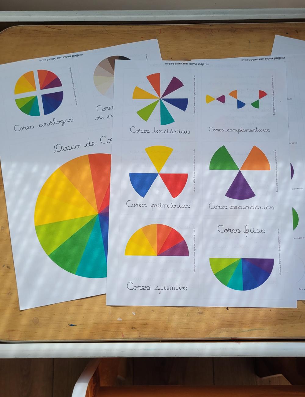 Kit Flashcards Teoria e Disco das Cores para Crianças