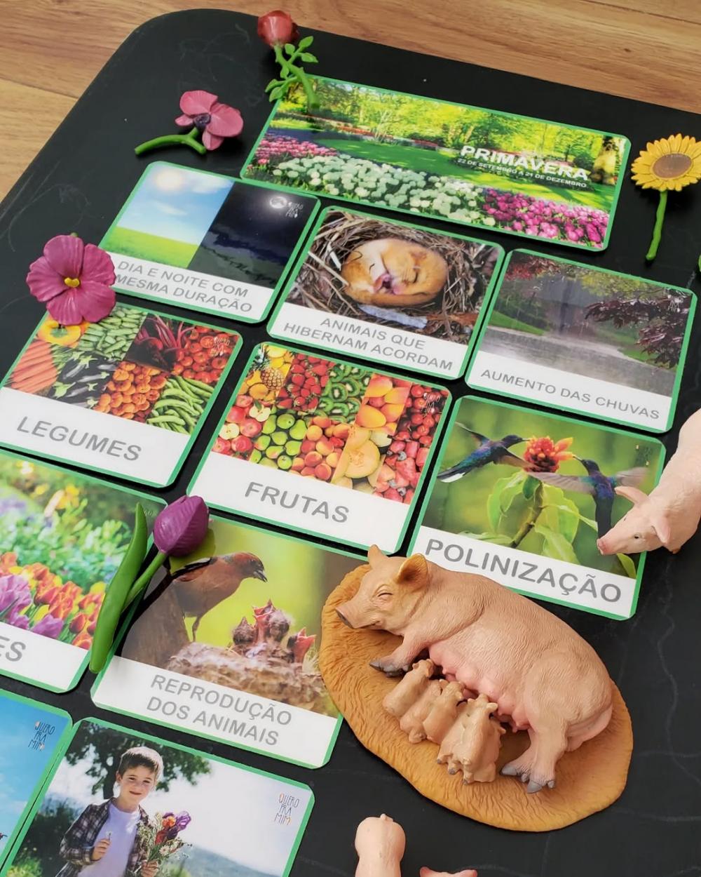 Kit 11 Flashcards Primavera - Estações do Ano - Montessori