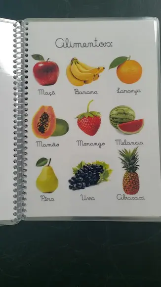 Caderno de Comunicação Alternativa para Tea/autismo Pecs