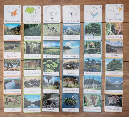 Combo 12 Kits de Flashcards em PDF Geografia Brasil + Mapa Regiõ