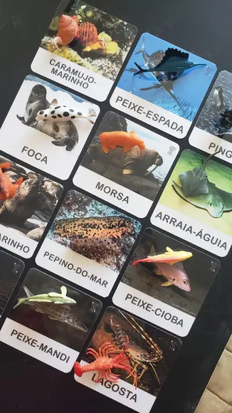 Kit 12 Flashcards Montessori Animais Marinhos