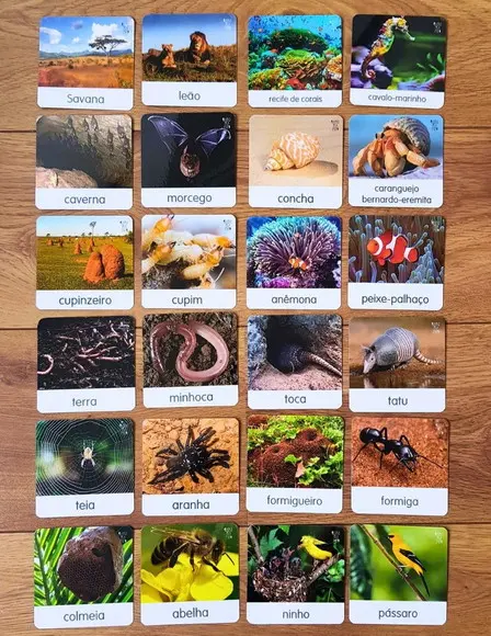 Kit 18 flashcards Animais e seus habitats