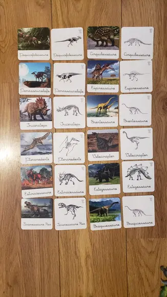 Kit 24 Flashcards Dinossauros e Seus Esqueletos