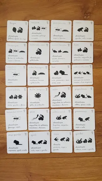 Kit 24 Flashcards Montessori Animais Mata Atlântica F/v