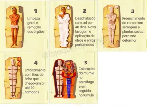 Kit 5 flashcards Etapas da Mumificação Antigo Egito