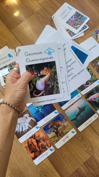 Kit Flashcards com Controle de Erro - Reprodução dos Animais