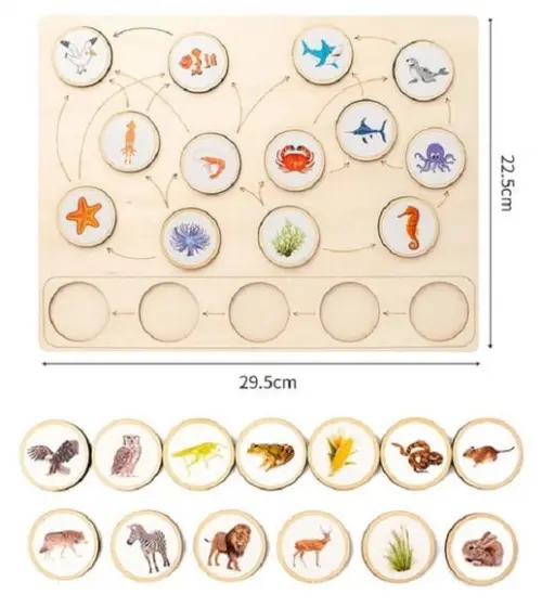 Bandeja de Atividades Cadeia Alimentar Invertebrados