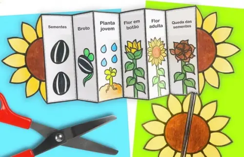 Atividade Ciclo de Vida do Girassol Dobras - Recurso p/ Aula em PDF