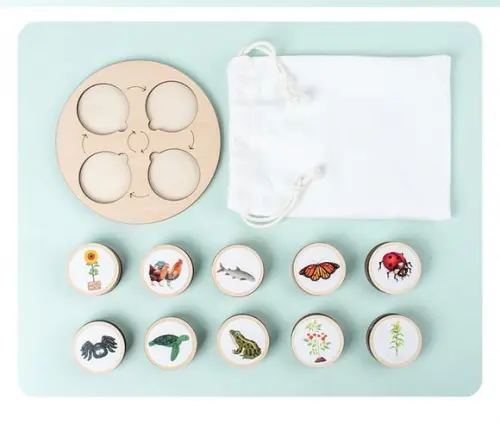 Bandeja para Atividades com Ciclos de Vida - Montessori