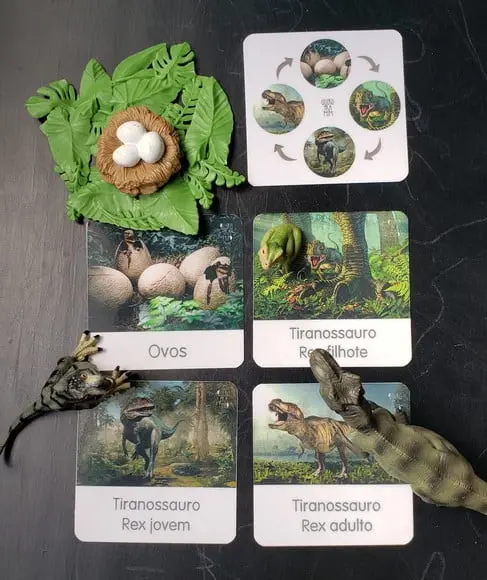 Combo 5 Kits em PDF Flashcards Montessori Dinossauros - Arquivo d