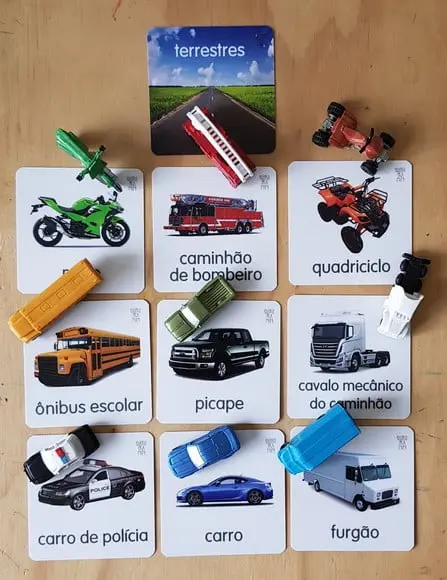 Kit 10 flashcards Meios Transportes Terrestres Safari Toob