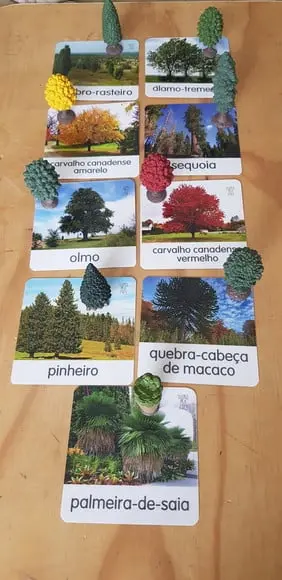 Kit 10 flashcards p/ miniaturas Árvores Safari Ltd Toob