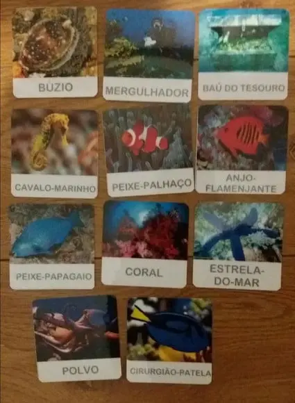 Kit 11 flashcards Animais dos Recifes de Coral Safari Toob