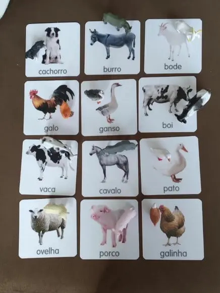 Kit 12 Flashcards Animais da Fazenda Atividades Montessori