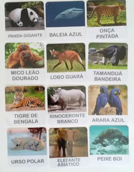 Kit 12 flashcards animais em extinção atividades montessori