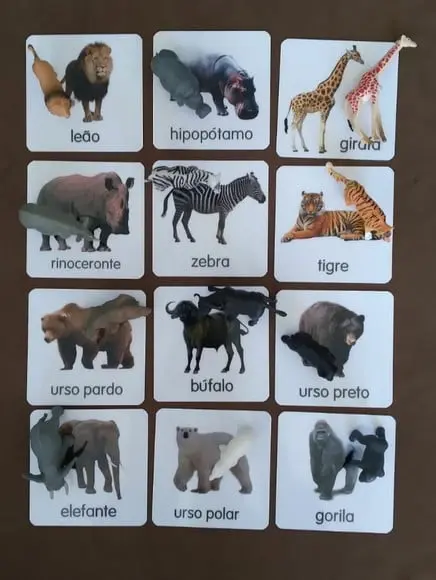 Kit 12 Flashcards Animais Selvagens Atividades Montessori