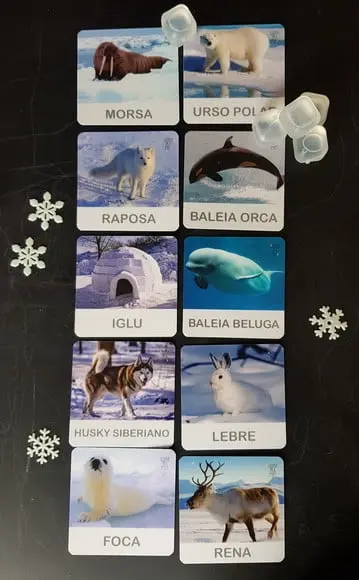 Kit 12 flashcards animais do gelo atividades montessori