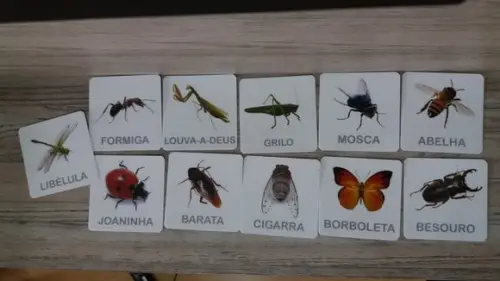 Kit 12 flashcards Insetos para atividades Método montessori