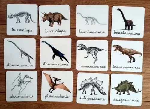Kit 12 flashcards Dinossauros e seus esqueletos