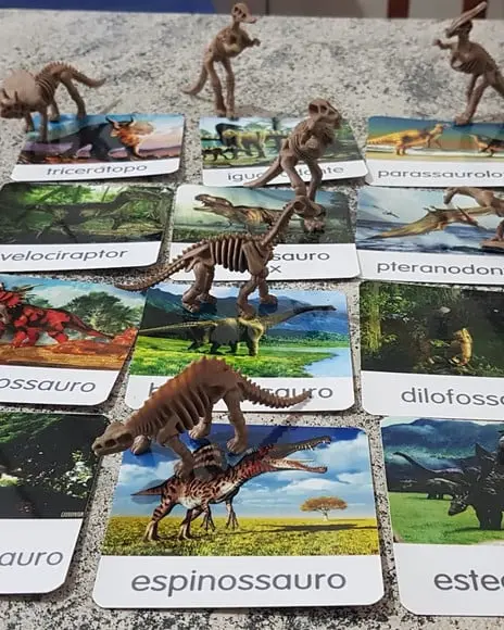 Kit 12 flashcards Montessori Dinossauros
