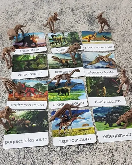 Kit 12 flashcards Montessori Dinossauros