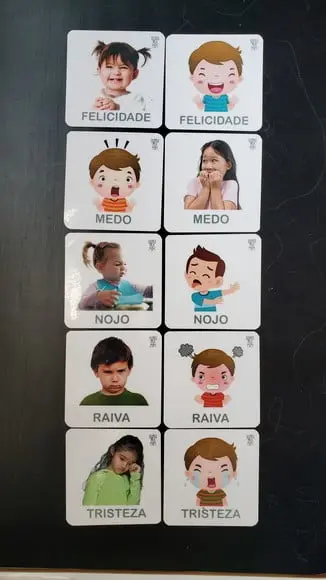 PDF 12 Flashcards Montessori Emoções e Sentimentos -arquivo digital