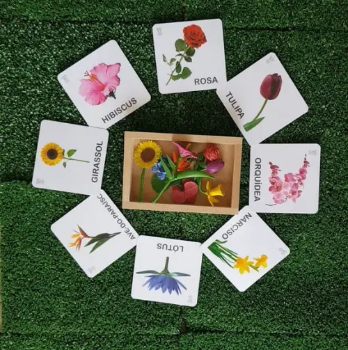 Kit 12 flashcards Montessori Flores compatível com SafariLtd