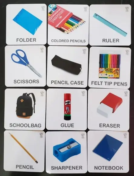 Kit 12 Flashcards Partes do Corpo Humano